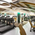 Professional Stump Tree Removal for a Perfectly Clean Yard