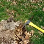 What to Expect from a David Lloyd Health Club Experience